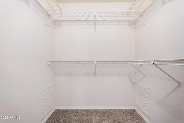 walk in closet with carpet floors