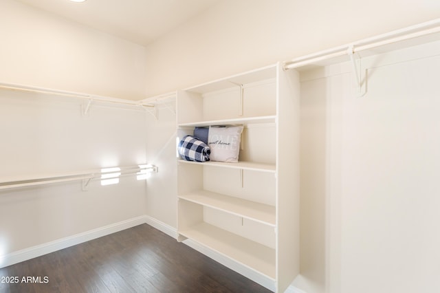 spacious closet with dark wood-type flooring