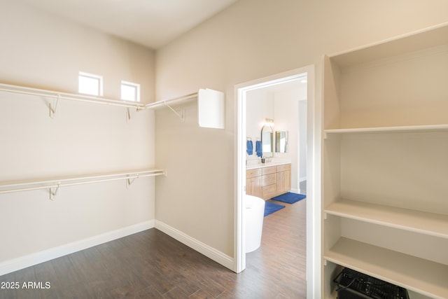 spacious closet with dark hardwood / wood-style flooring