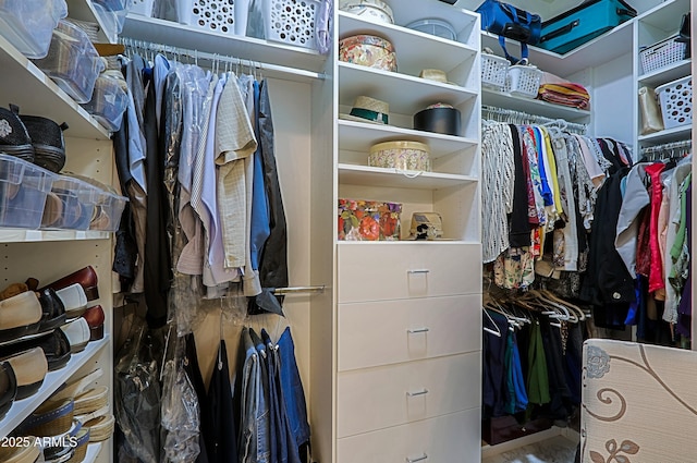 view of walk in closet