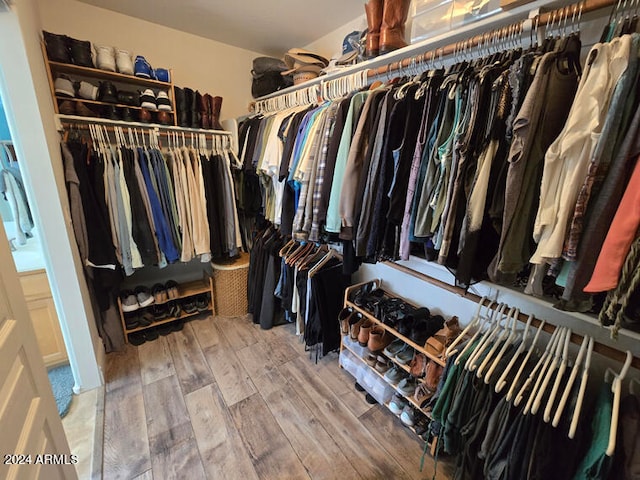 spacious closet with hardwood / wood-style floors