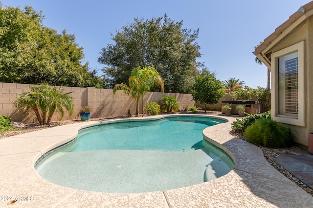 view of swimming pool with a jacuzzi and a patio area