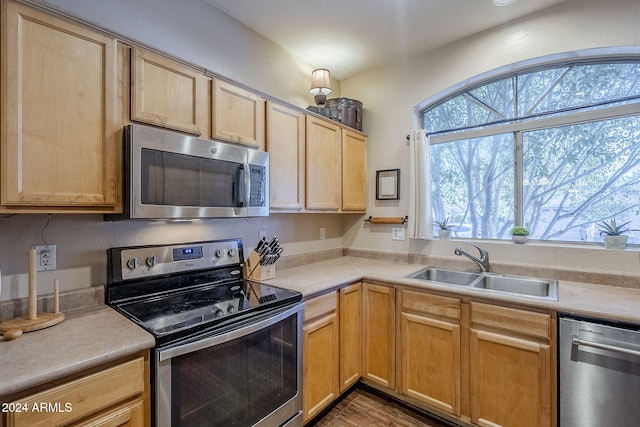 kitchen with plenty of natural light, sink, stainless steel appliances, and light brown cabinetry