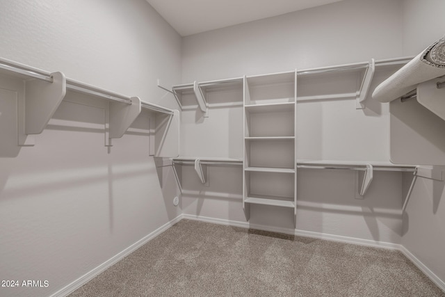 spacious closet with carpet floors