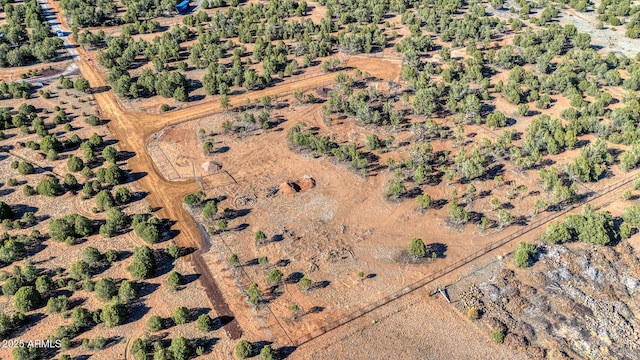 000 Aubri Ln -, Unit Show Low, AZ 85901
