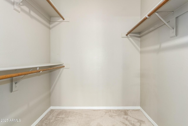 walk in closet with carpet flooring