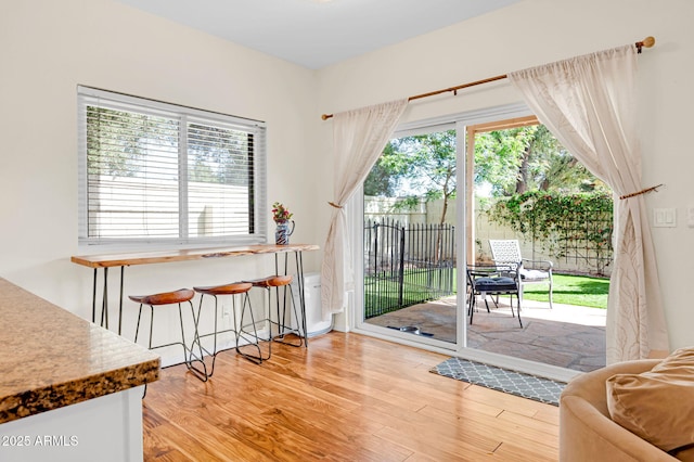 entryway featuring a wealth of natural light and wood finished floors