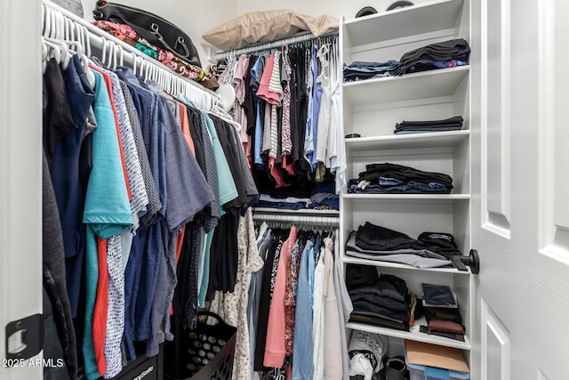 view of spacious closet