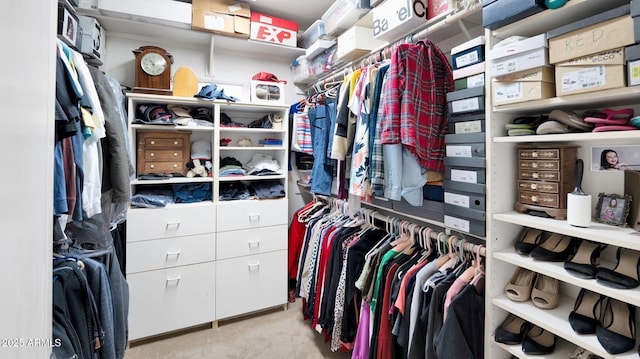 walk in closet featuring light carpet