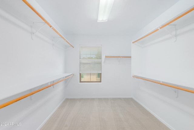 walk in closet with light colored carpet