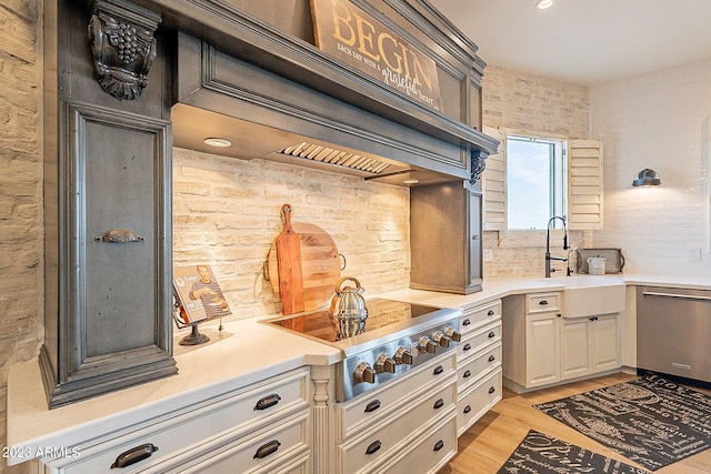 kitchen with stainless steel appliances, light hardwood / wood-style flooring, premium range hood, and sink