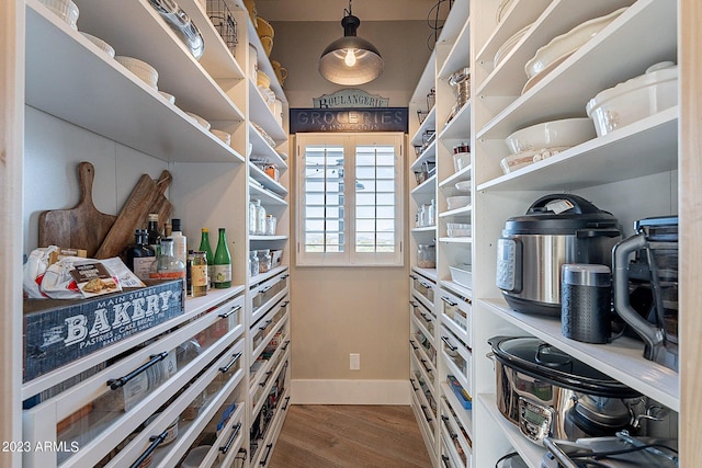 spacious closet with hardwood / wood-style floors