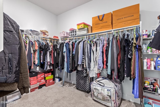 walk in closet with carpet