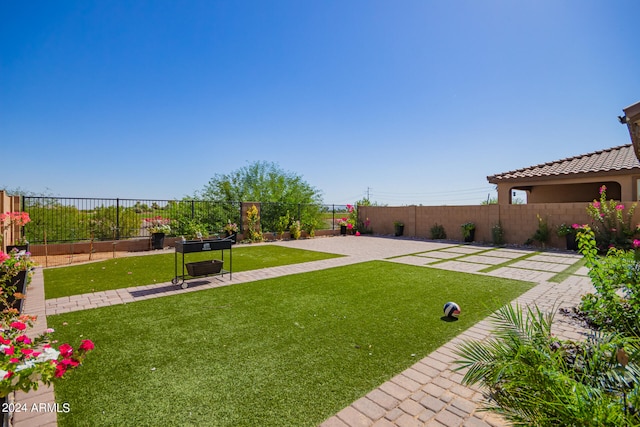 view of yard featuring a patio area