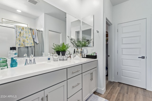 bathroom with vanity and wood-type flooring