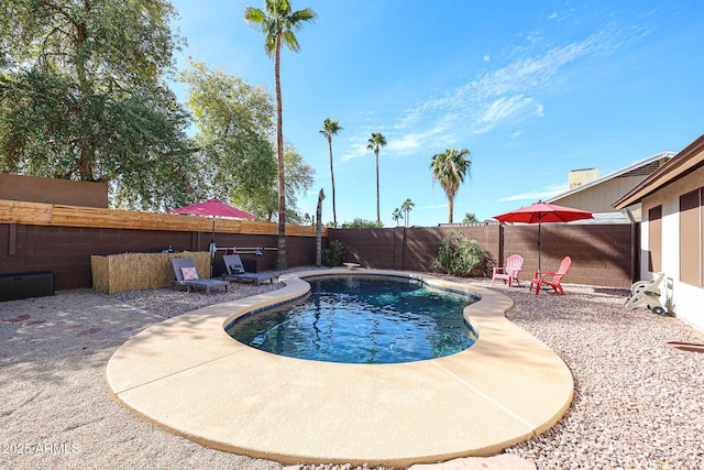 view of swimming pool featuring a patio area