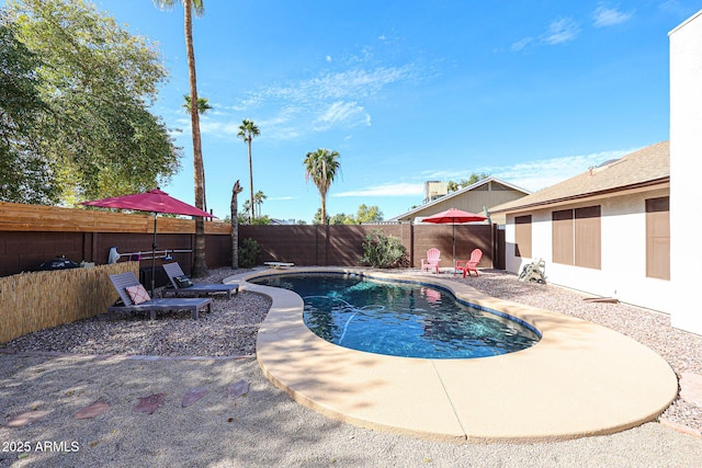 view of swimming pool with a patio