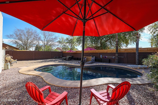 view of swimming pool featuring a patio