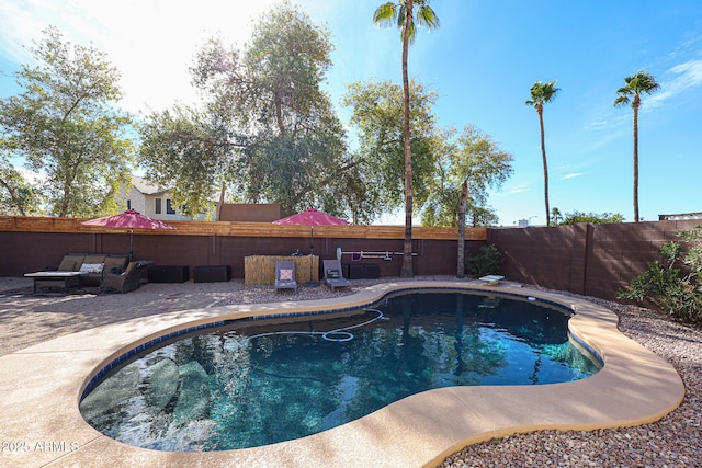 view of pool with a patio area