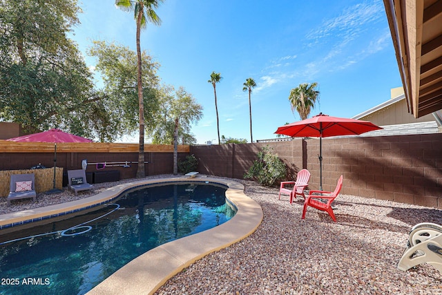 view of swimming pool with a patio area