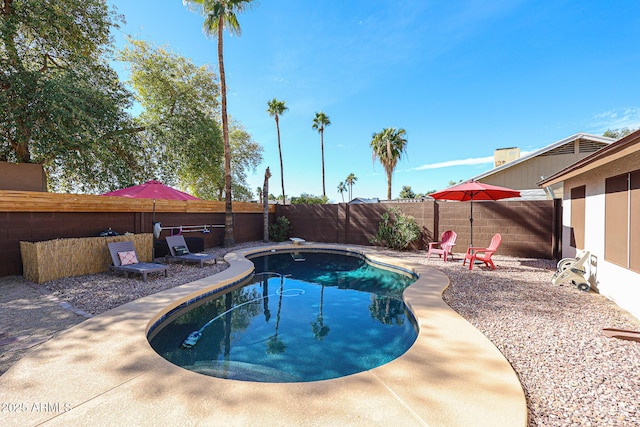 view of swimming pool with a patio area