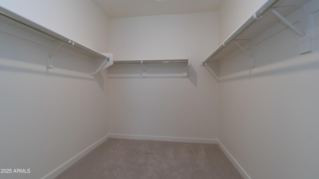 spacious closet with carpet flooring