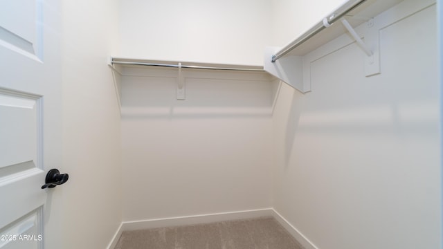 spacious closet featuring light colored carpet