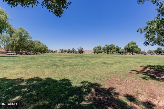 1133 N 84th Pl, Scottsdale, AZ 85257 - view of grassy yard