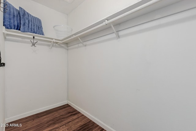 1133 N 84th Pl, Scottsdale, AZ 85257 - spacious closet featuring dark wood-type flooring