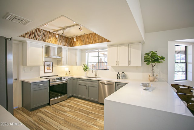 6608 E Ranch Rd, Cave Creek, AZ 85331 - kitchen with stainless steel appliances, wall chimney exhaust hood, rail lighting, gray cabinetry, and light wood-style flooring