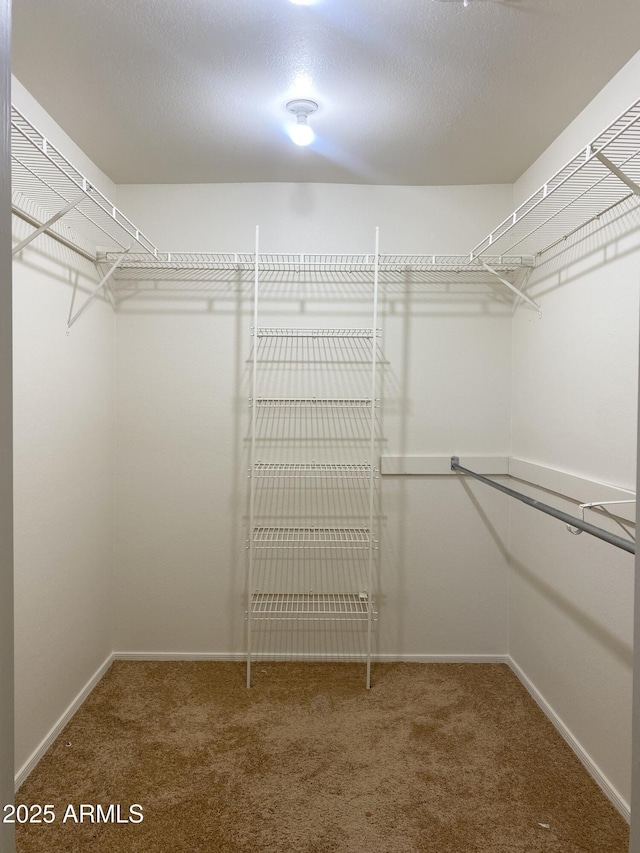 1249 E Commerce Ave, Gilbert, AZ 85234 - walk in closet with carpet flooring