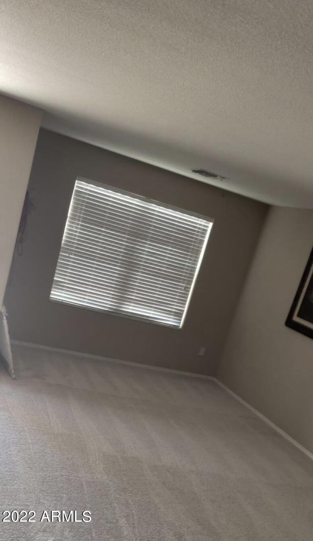 spare room with carpet and a textured ceiling