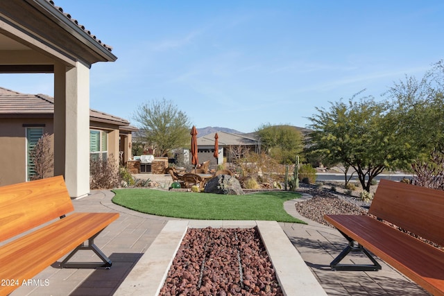 view of yard with a patio area