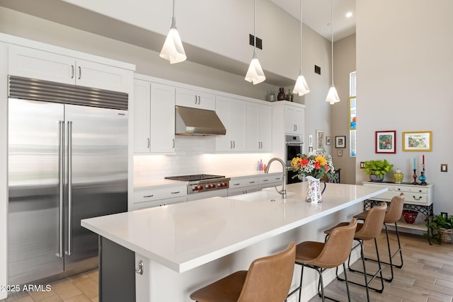 14507 N Valencia Dr, Fountain Hills, AZ 85268 - kitchen featuring appliances with stainless steel finishes, under cabinet range hood, a towering ceiling, a sink, and tasteful backsplash
