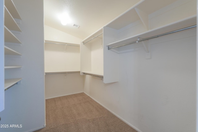 walk in closet featuring carpet and lofted ceiling