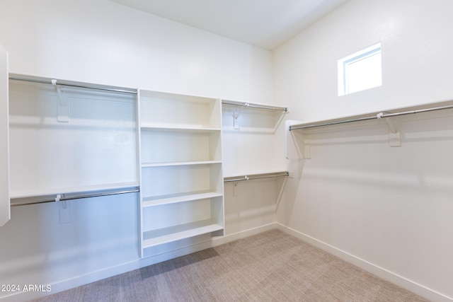 spacious closet with light carpet