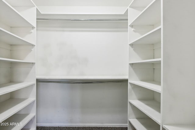 spacious closet featuring carpet flooring