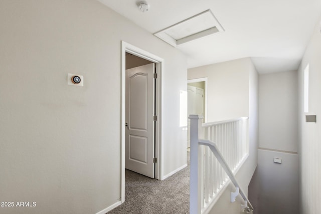 hallway with carpet flooring