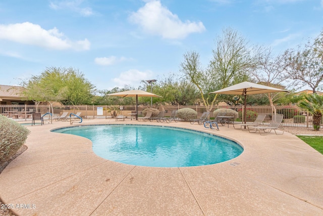 pool featuring a patio area and fence