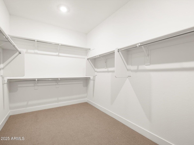 17809 W Elm St, Goodyear, AZ 85395 - walk in closet featuring carpet