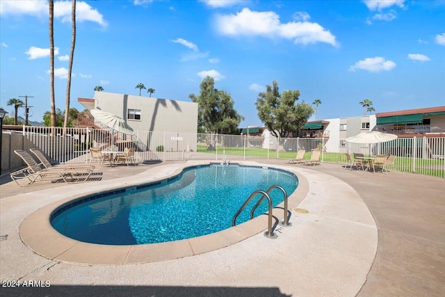 view of pool featuring a patio