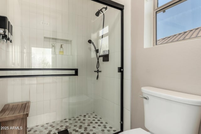 40807 N Barnum Way, Anthem, AZ 85086 - full bathroom featuring toilet, plenty of natural light, and a stall shower