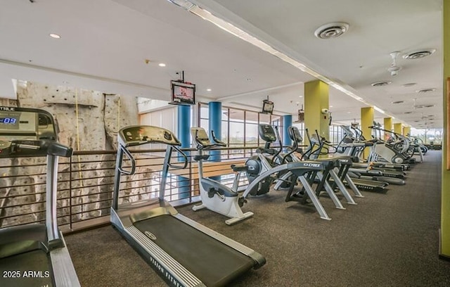 40807 N Barnum Way, Anthem, AZ 85086 - gym with plenty of natural light