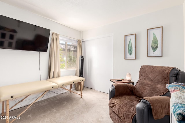 living area with carpet floors