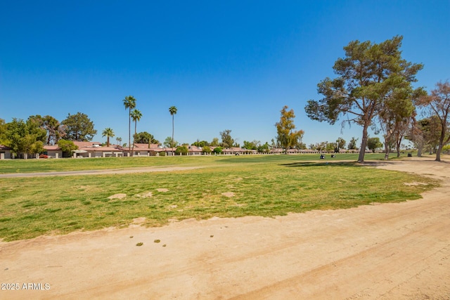 view of community with a yard