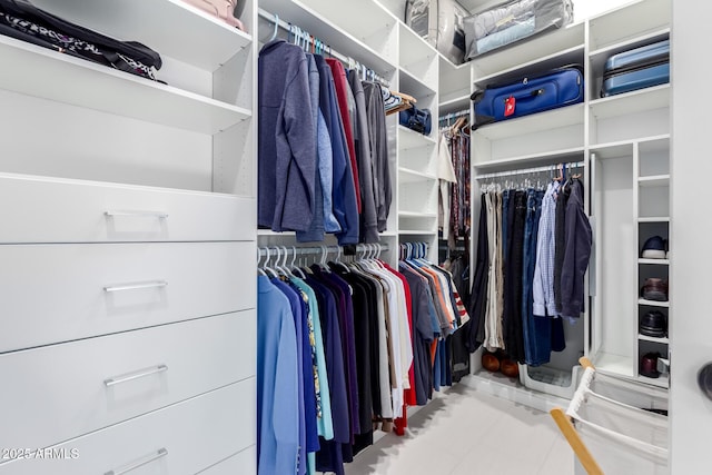 view of spacious closet