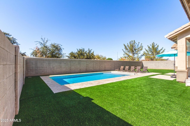 view of pool with a patio and a lawn