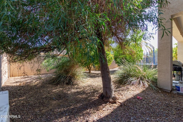 3553 W Dancer Ln, San Tan Valley, AZ 85144 - fenced backyard featuring a trampoline