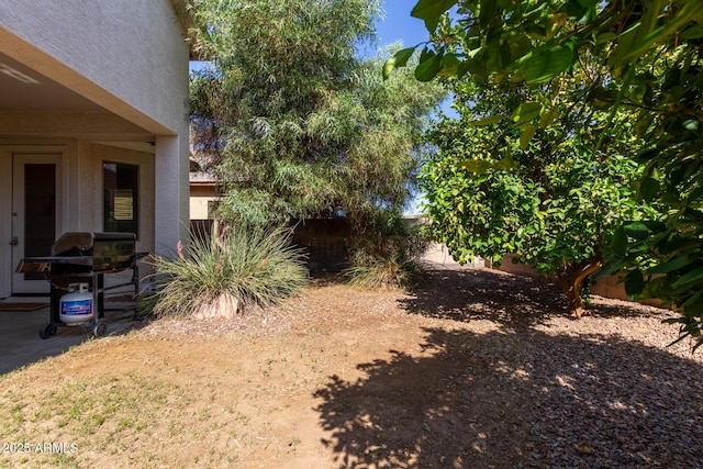 3553 W Dancer Ln, San Tan Valley, AZ 85144 - view of yard