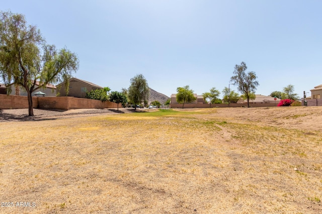 3553 W Dancer Ln, San Tan Valley, AZ 85144 - view of yard